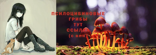 СК Балахна