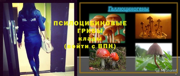 spice Балабаново