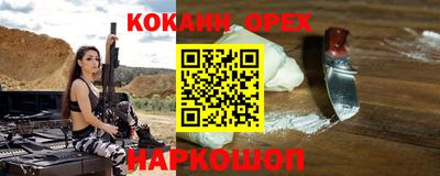 тгк Кингисепп
