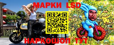 тгк Кингисепп