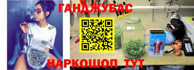 тгк Кингисепп