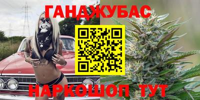 тгк Кингисепп