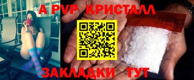 тгк Кингисепп