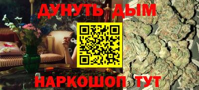тгк Кингисепп