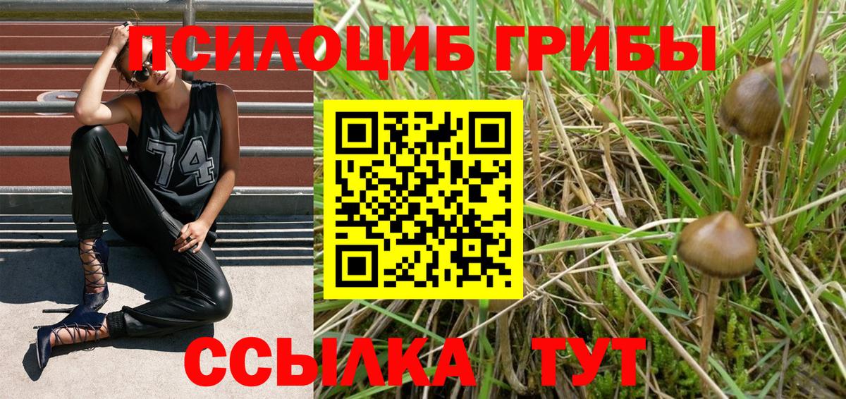 Галлюциногенные грибы MAGIC MUSHROOMS  купить наркоту  Галлюциногенные грибы MAGIC MUSHROOMS  Усть-Джегута  Вход с VPN 