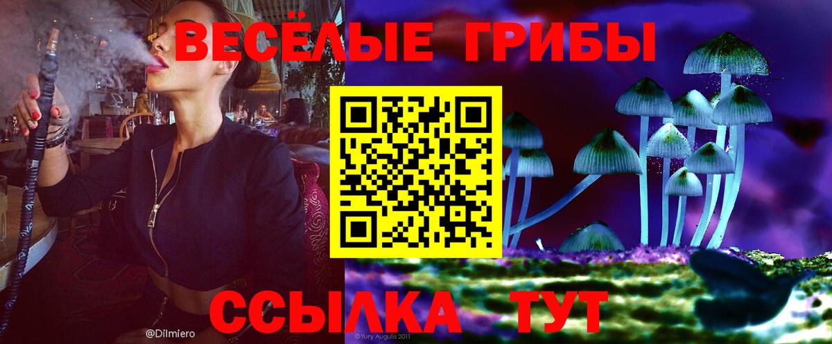 Псилоцибиновые грибы мицелий Усть-Джегута